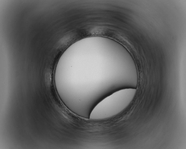 X0000088440733200705220914