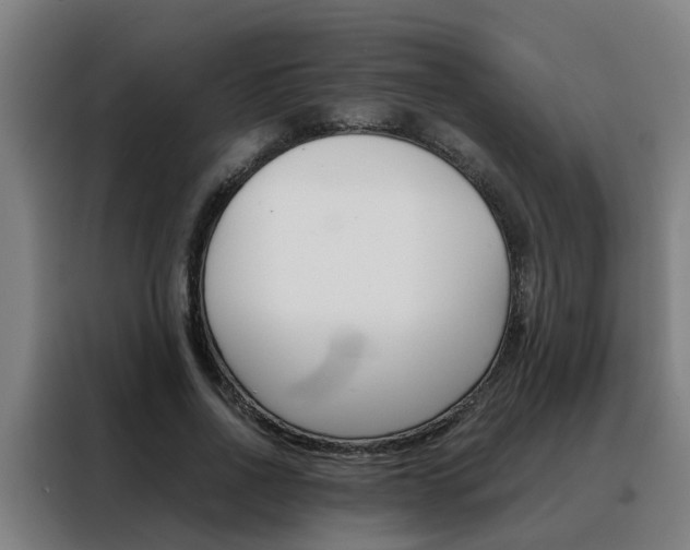 X0000088440734200705220914