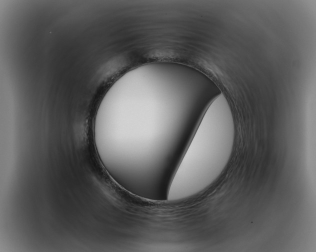 X0000088440735200705220914