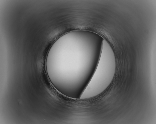 X0000088440736200705220914