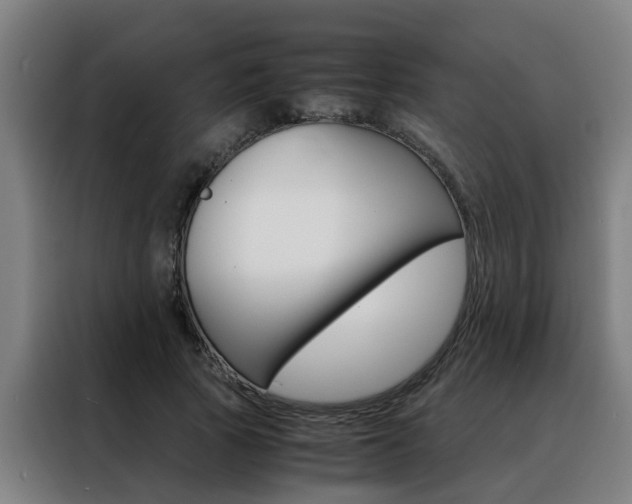 X0000088440737200705220914