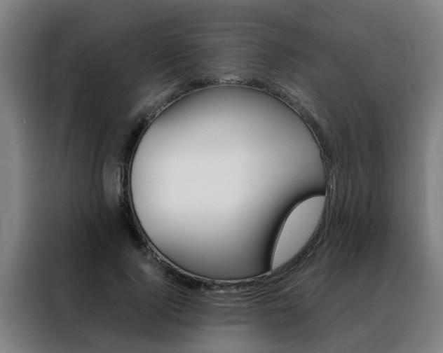 X0000088440740200705220914