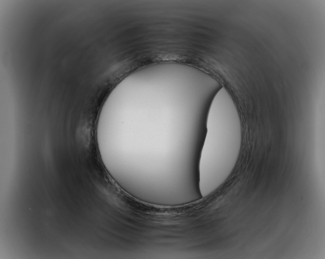 X0000088440741200705220914
