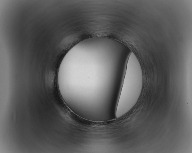 X0000088440742200705220914