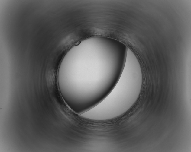 X0000088440744200705220914