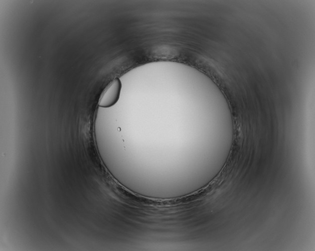X0000088440745200705220914