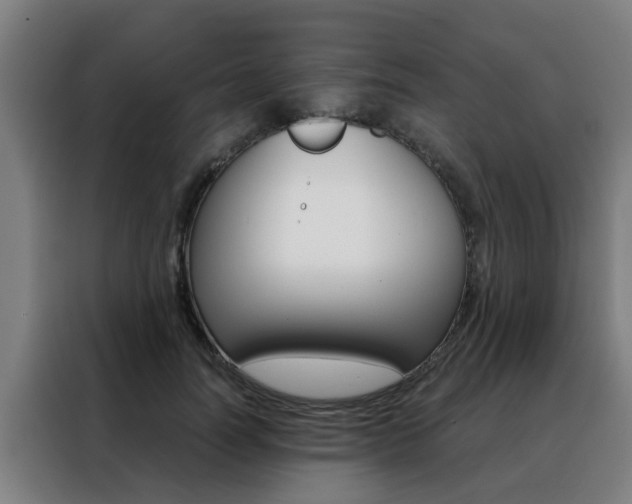 X0000088440746200705220914