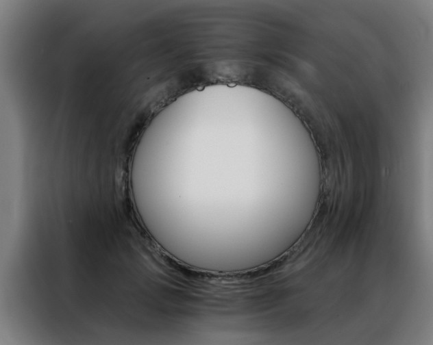 X0000088440749200705220914