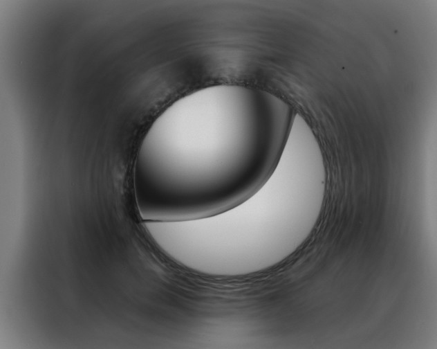 X0000088440750200705220914