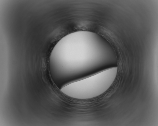 X0000088440751200705220914
