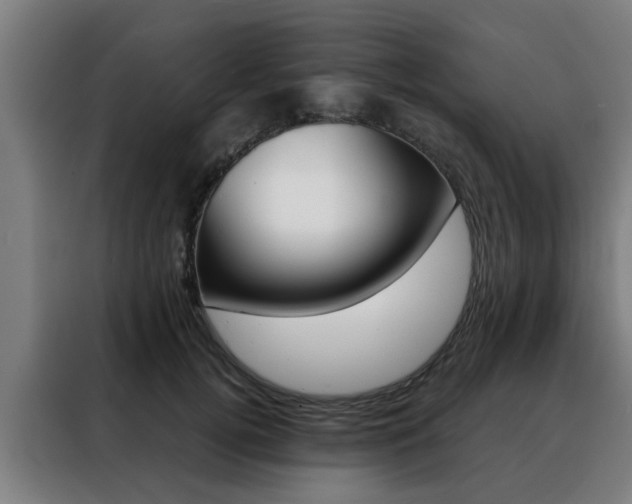 X0000088440752200705220914