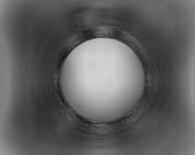 X0000088440753200705220914