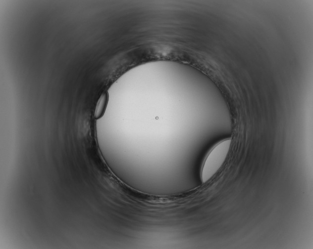 X0000088440754200705220914