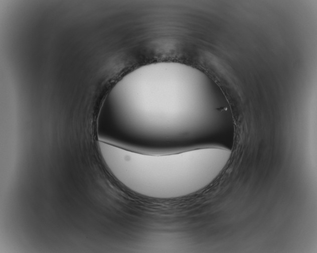 X0000088440756200705220914