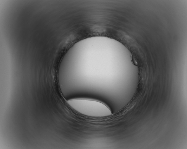X0000088440758200705220914