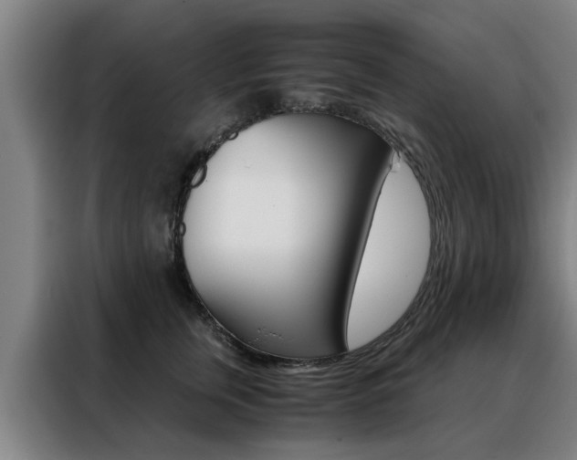 X0000088440759200705220914