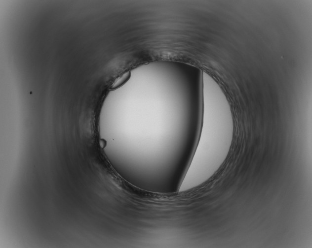 X0000088440760200705220914
