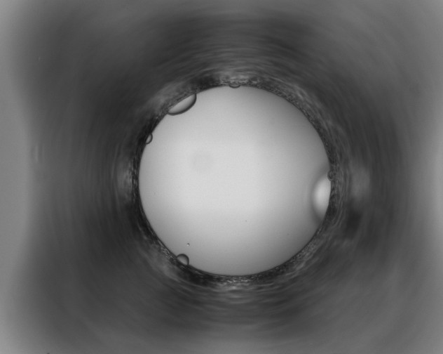 X0000088440761200705220914