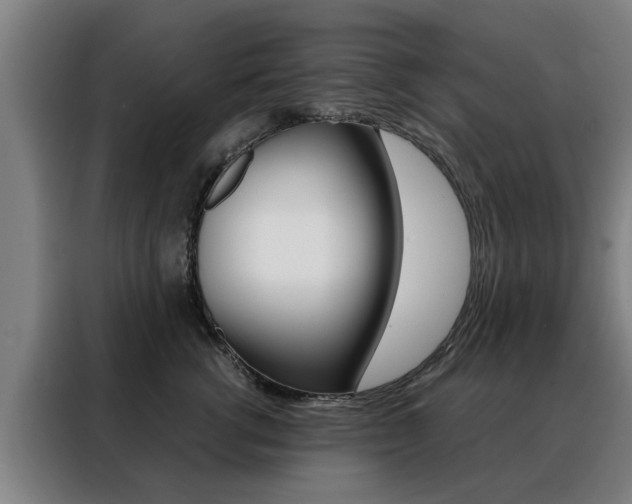 X0000088440762200705220914