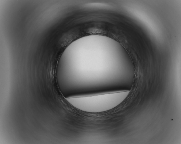 X0000088440763200705220914