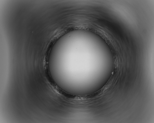 X0000088440764200705220914