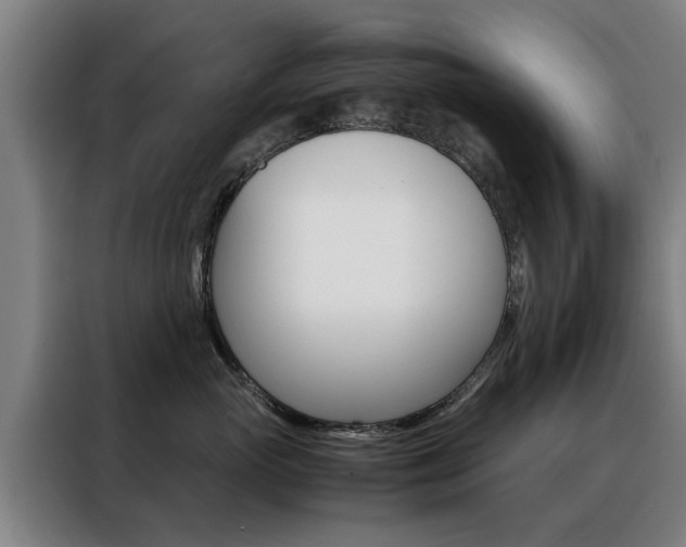 X0000088440765200705220914