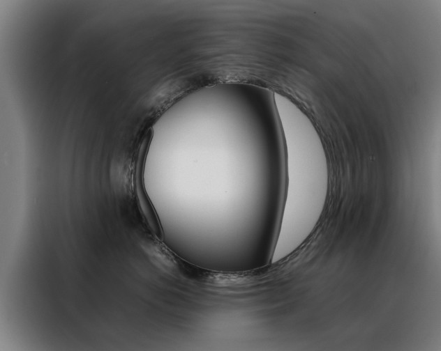 X0000088440766200705220914