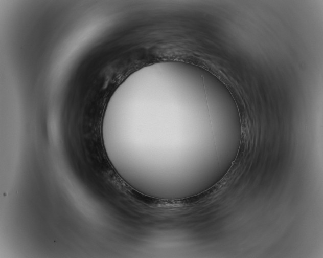X0000088440767200705220915