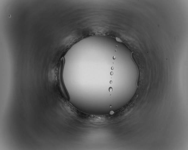 X0000088440768200705220915