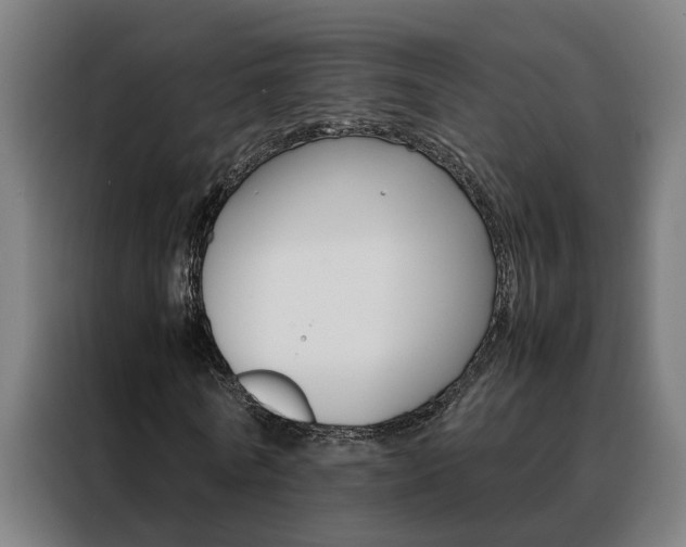 X0000088440770200705220914