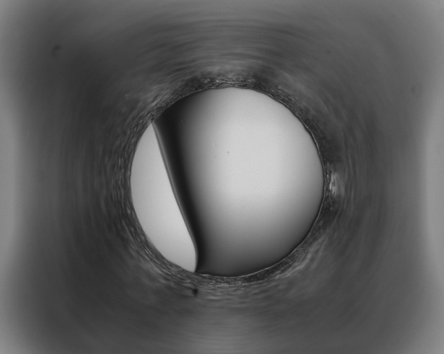 X0000088440771200705220914