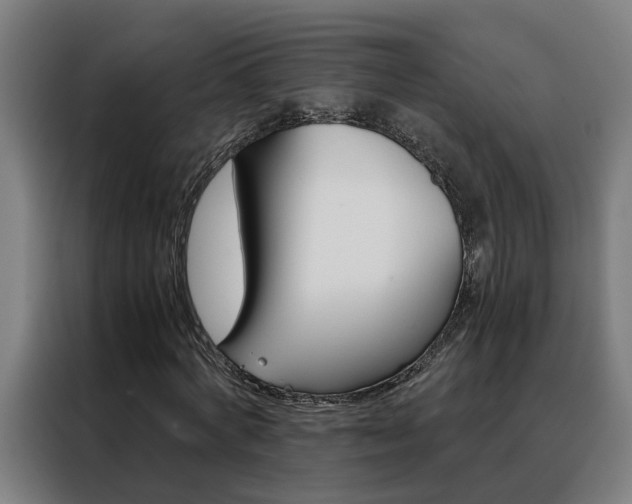 X0000088440772200705220914
