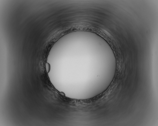 X0000088440774200705220914