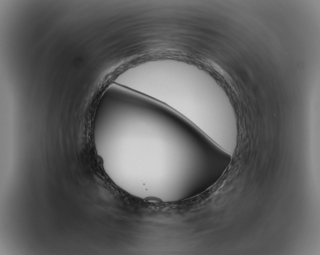 X0000088440775200705220914