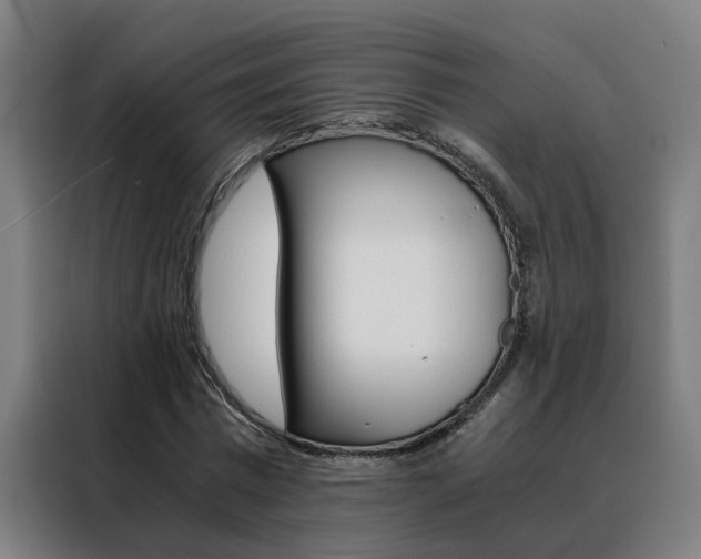 X0000088440777200705220914