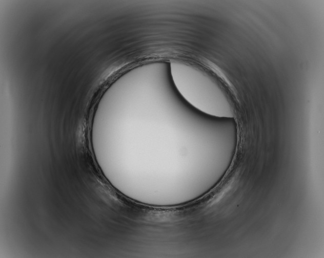 X0000088440778200705220914