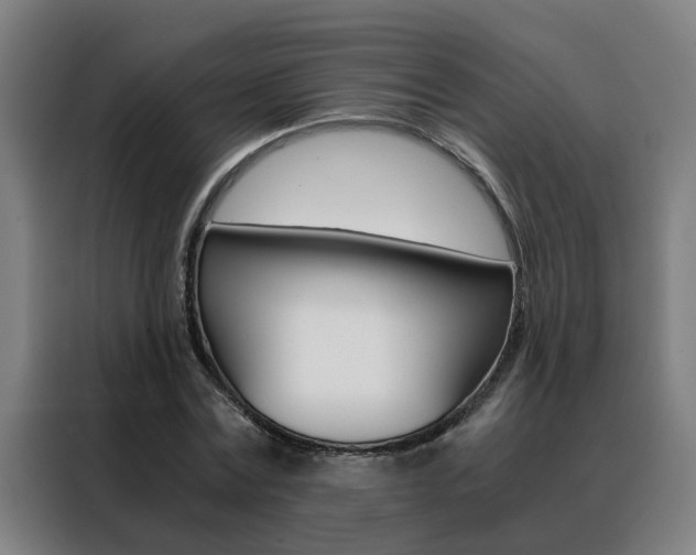 X0000088440779200705220914