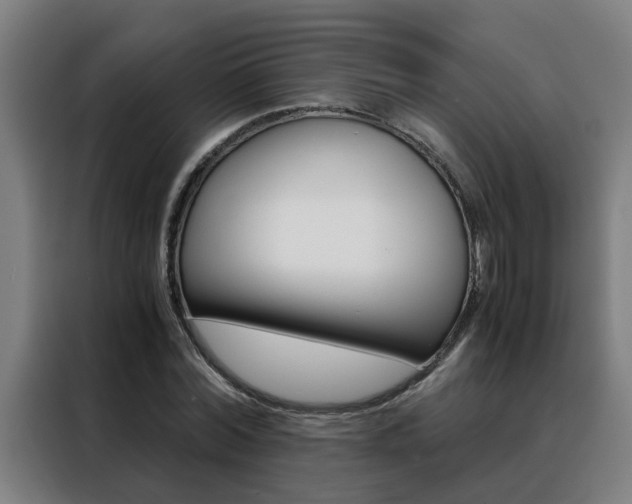 X0000088440780200705220914