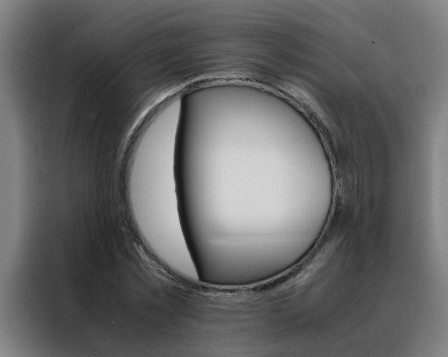 X0000088440781200705220914