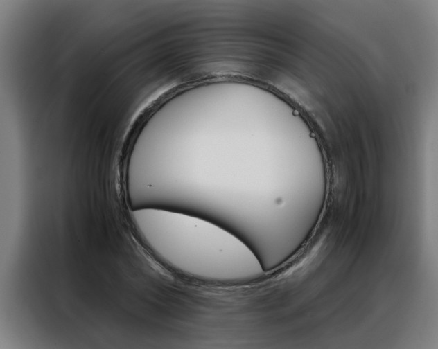 X0000088440782200705220914