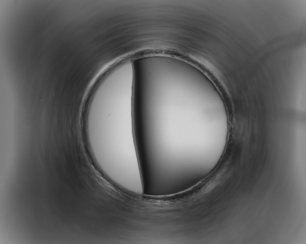 X0000088440783200705220914