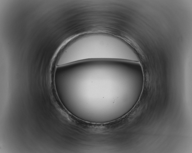 X0000088440784200705220914