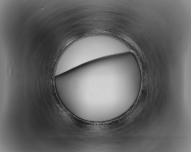 X0000088440785200705220914