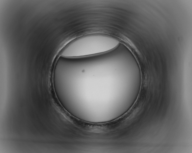 X0000088440786200705220913