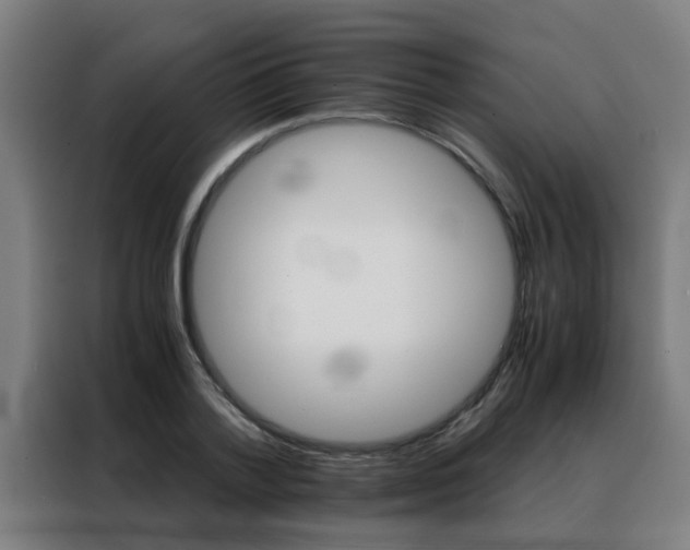 X0000088440788200705220913