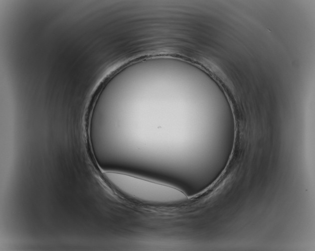 X0000088440789200705220913