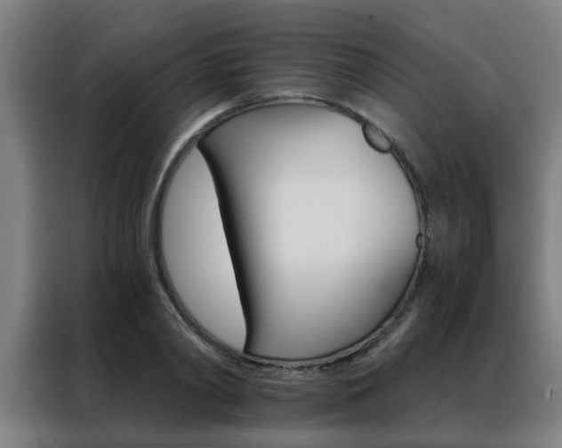 X0000088440790200705220913