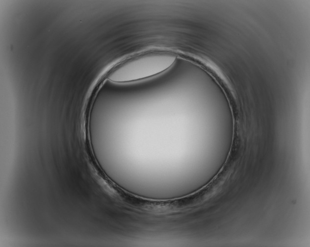 X0000088440791200705220913