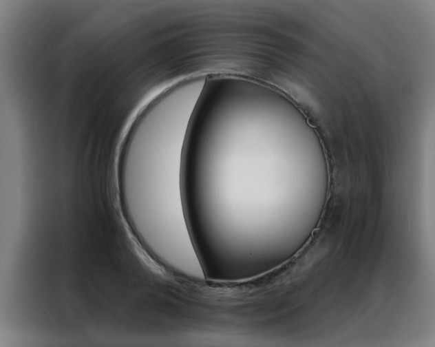 X0000088440792200705220913