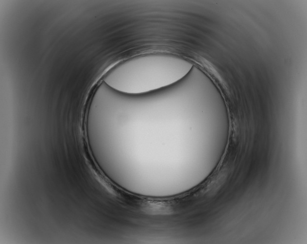 X0000088440794200705220913